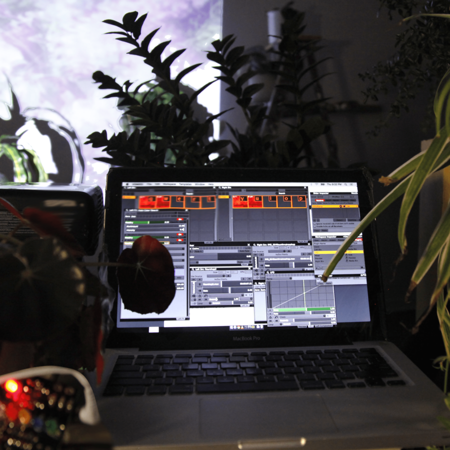 A laptop in the centre, open to a complicated program. In the foreground there are medical monitors connected to a plant. There is another plant on the right and more in the background. In the far back there is a projection of indiscernible plants.
