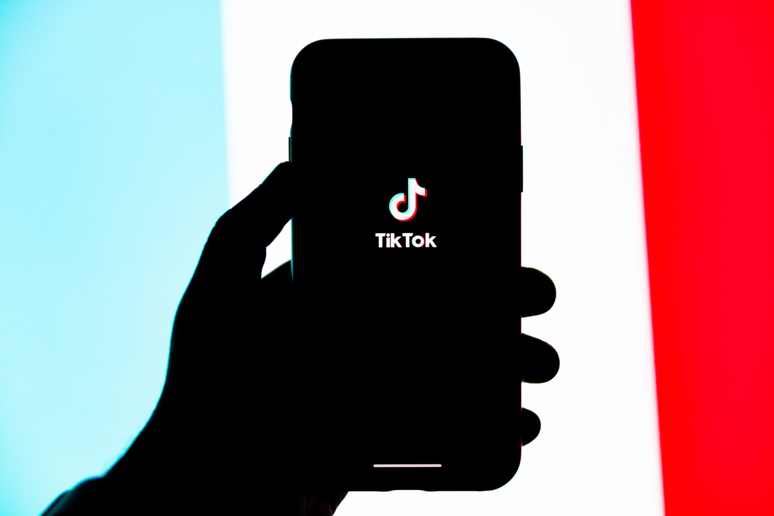 Introduction to tiktok for artists
