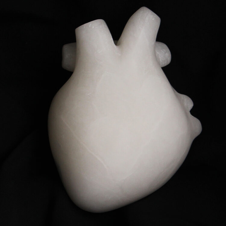 A photo of an anotomical white heart sculpture.