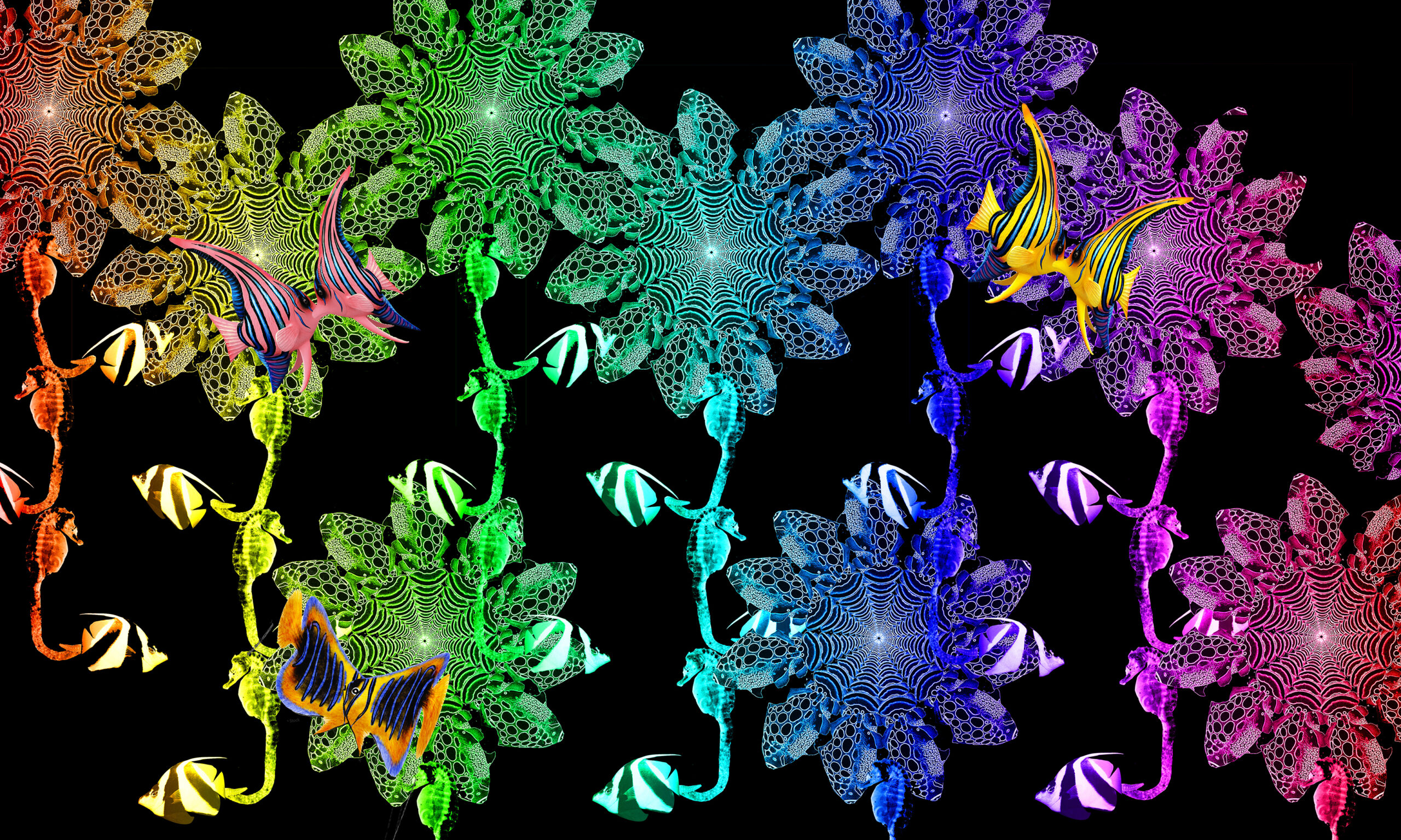 Colourful neon flowers with leaves and fish in front of black background.