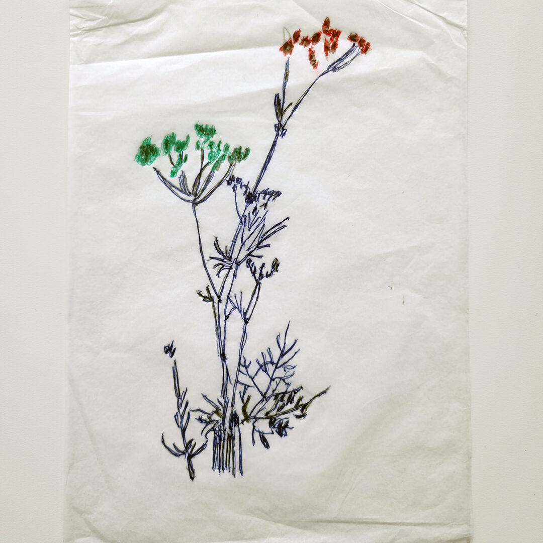 An ink tracing of a flower branch in blue, red and green.