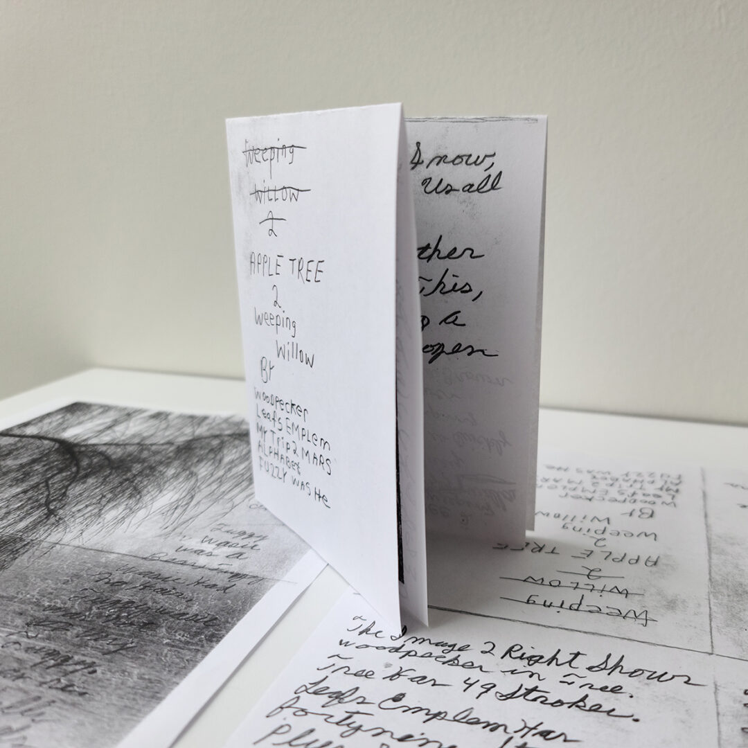 A zine composed of several pages of writing in cursive, the cover has a black and white image of a willow tree with text alongside.