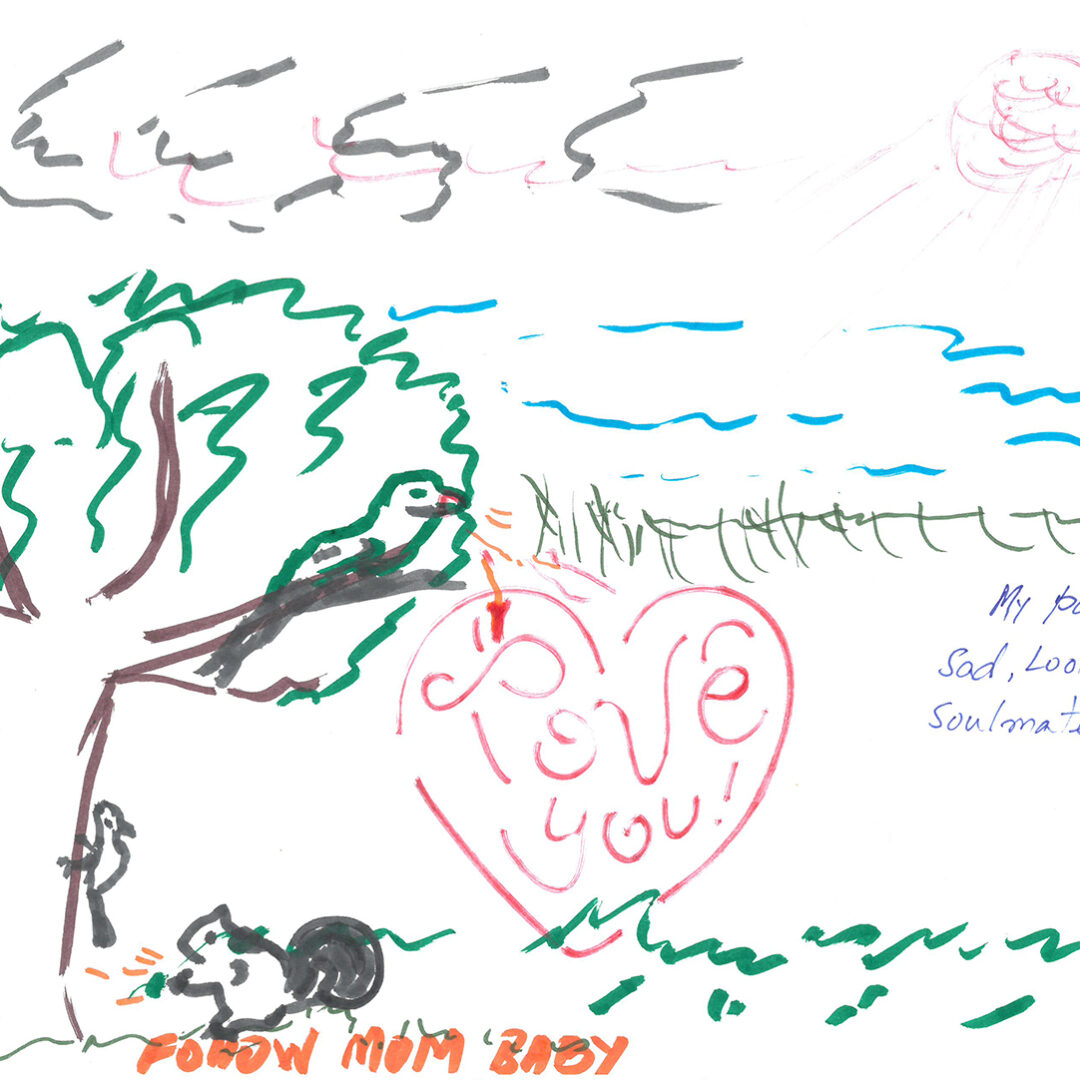 A marker illustration of a nature scene; blue squiggles representing water in the background, a green tree in the foreground with a squirrel below, a sun in the corner. Below is a heart writing 'I LOVE YOU' and below it is orange text writing 'follow mom baby'. On the right side writes 'my parrot is sad, looking for a soulmate!' in blue.