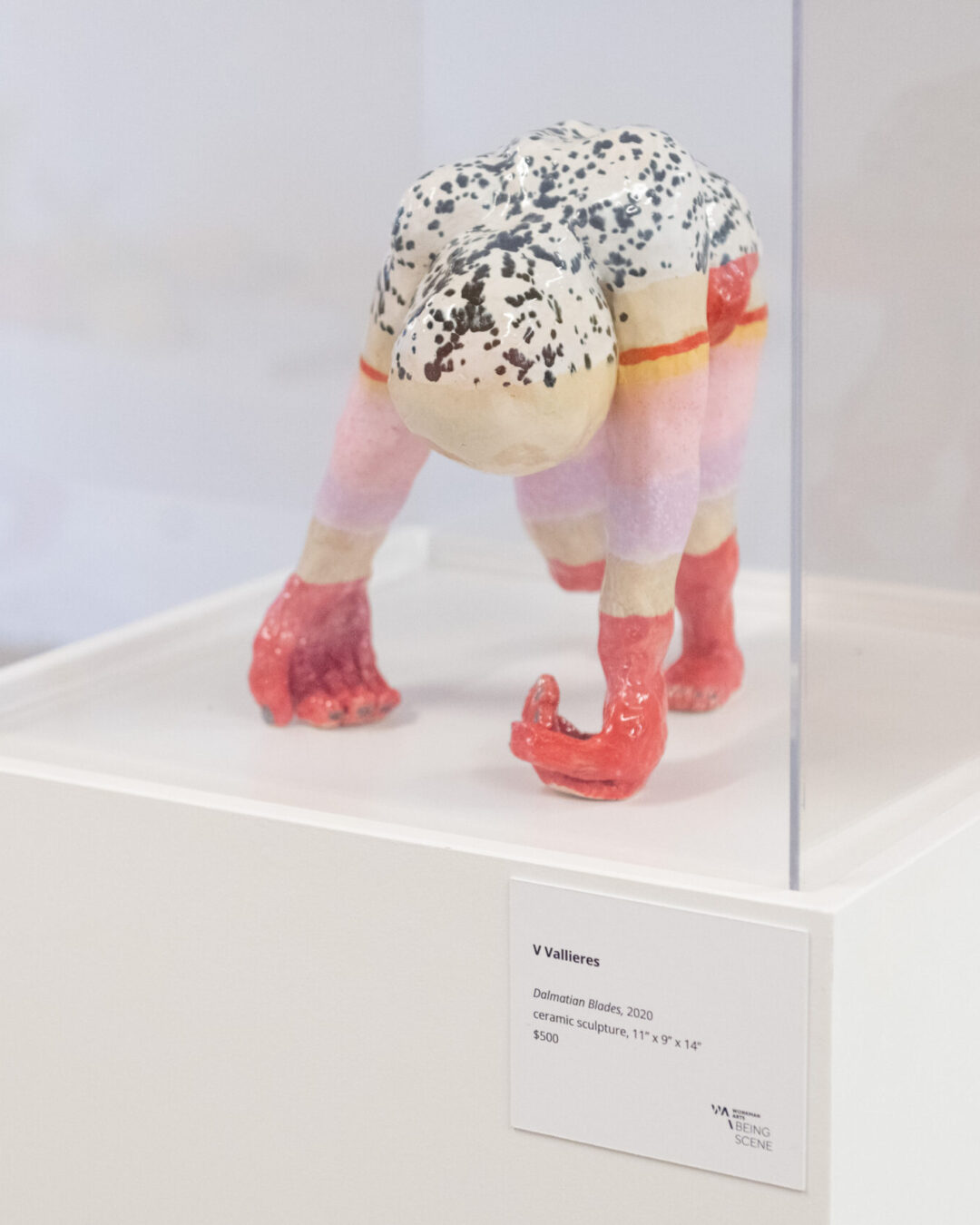 Dalmatian Blades by V Vallières. Photo by Henry Chan.