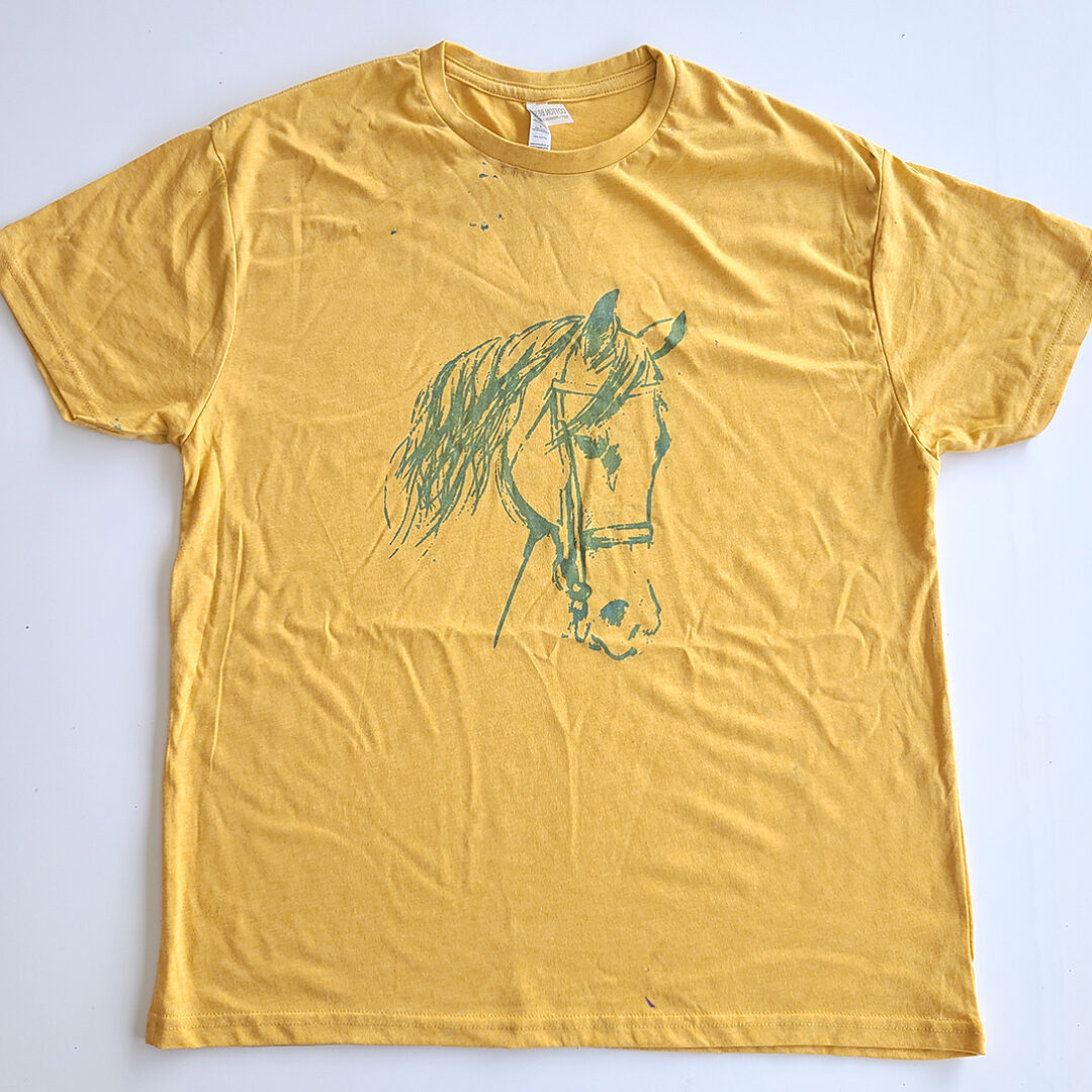 Manny Horse web res