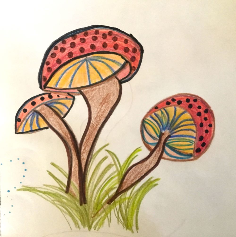 IMG_1768 lores IMG_1768 lores