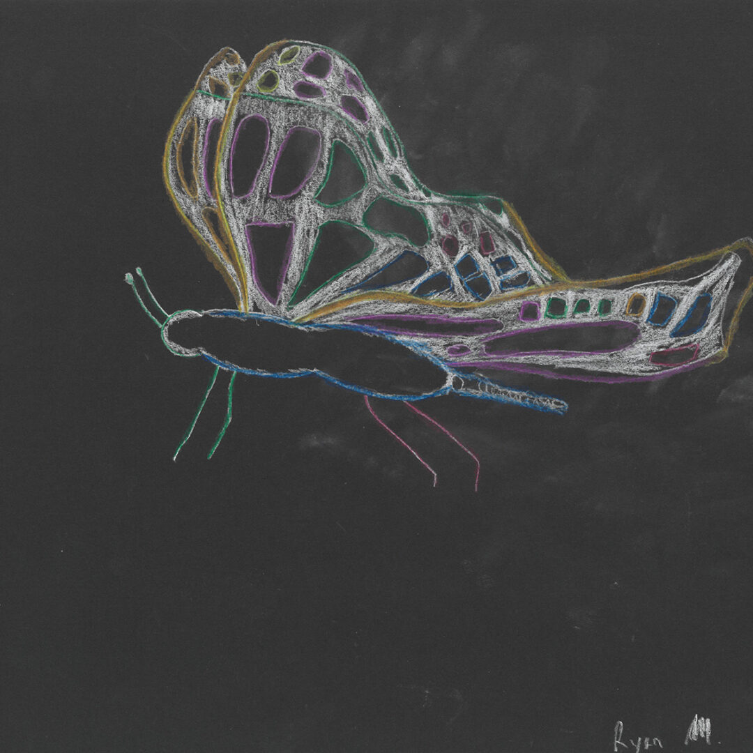 Ryan M - Number Butterfly web res