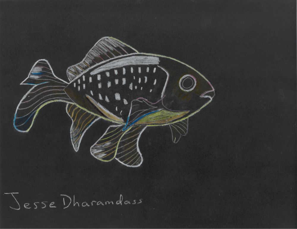 SKM_C30825100616250 lores SKM_C30825100616250 lores