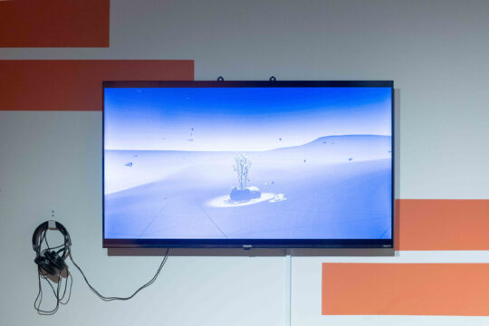 Jawa El Khash. Natures Algorithm, 2025. Screen based video with sound.