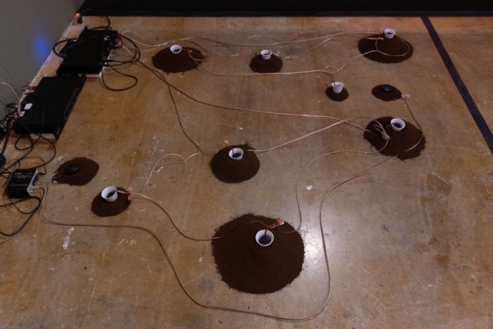 073 Lingering Echoes 20251023-HC (Small)