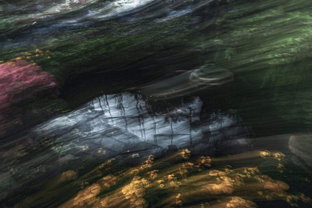 AlinoGiraldi_Reverie_2024