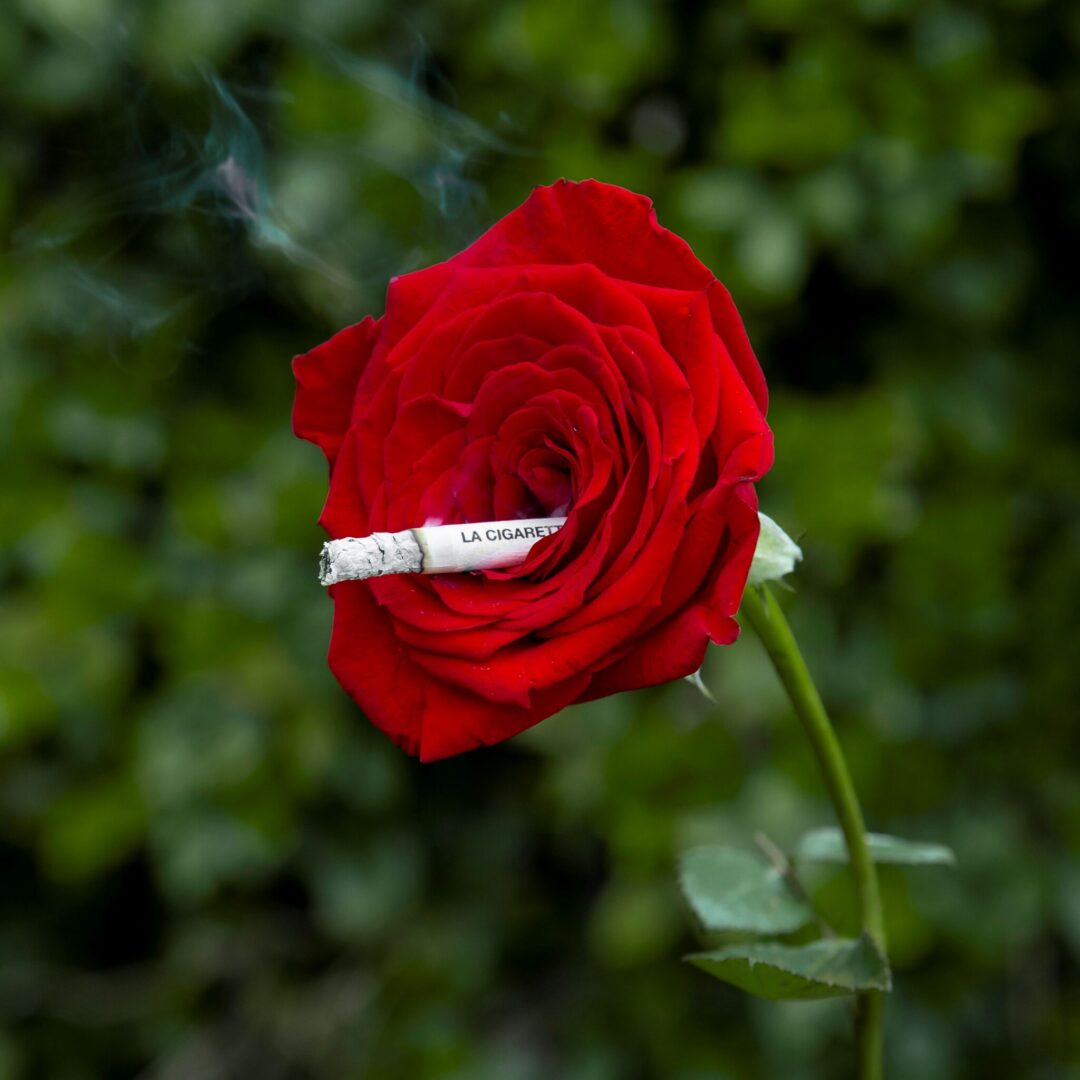 La Cigarette - CC
